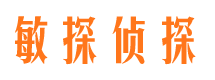 玉龙侦探公司